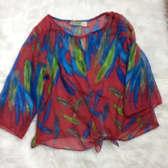 Erica Brooke Tops - Erica Brooke Semi sheer feather top Size 16